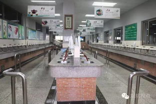 文化經紀促活力，文明創建譜新篇——大東坑的文化服務實踐