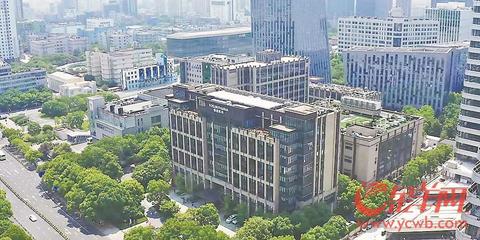 冠軍中國 青春接力 | 粵港澳大灣區(qū)與長三角 雙&ldquo;翼&rdquo;齊飛 積&ldquo;勢&rdquo;成力