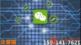 深圳微信小程序開發,深小程序定制,企客貓小程序公司